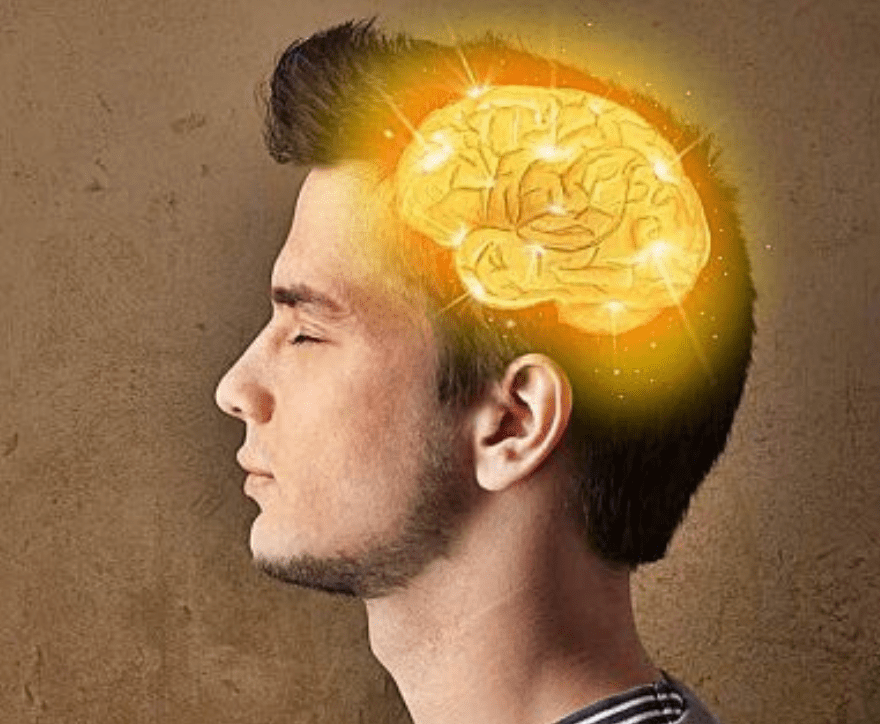 Mentes multipotenciales